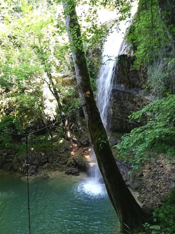 Villa Rustica Buje Kültér fotó